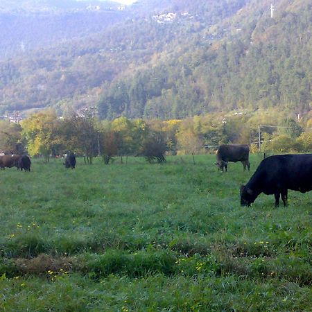 Agriturismo Biobio Vobarno Exteriér fotografie